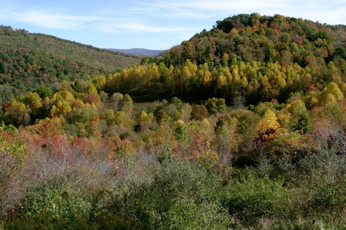 वेस्ट वर्जीनिया का लापता कोयला खनिक लगभग एक सप्ताह तक भूमिगत फंसे रहने के बाद मृत पाया गया: गवर्नर

