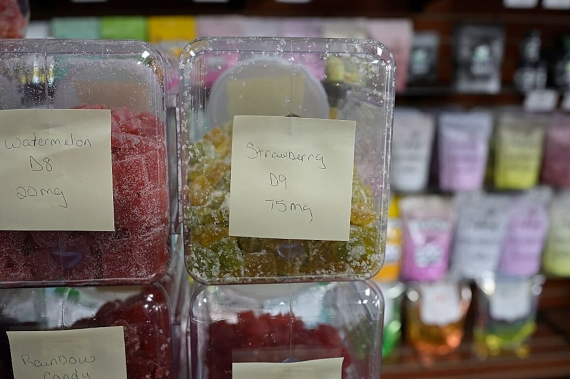 फोटो: अरोरा कोड प्रवर्तन